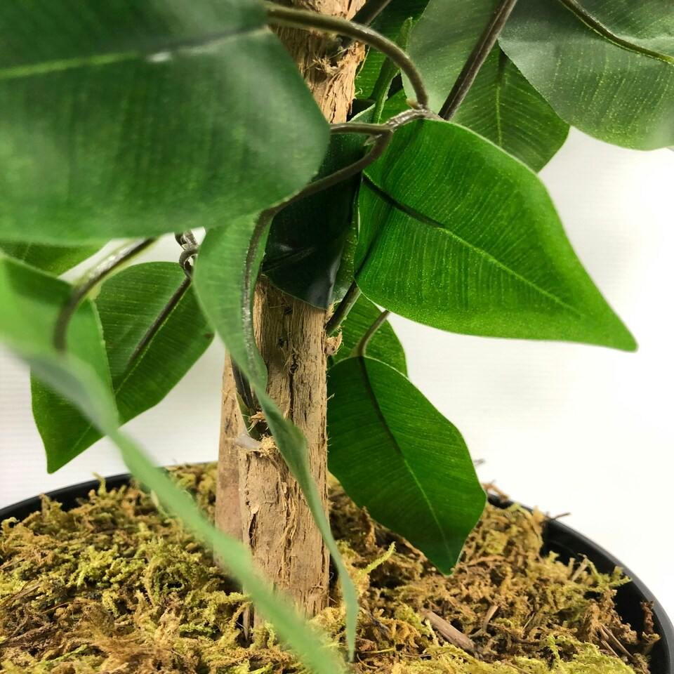 image 1 of 120cm Artificial Ficus Tree / Plant - Large Bushy Shape Gold Metal Planter