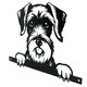 image 6 of Black Metal Peeking Schnauzer Silhouette with Fixing Plate Garden Ornament Gift