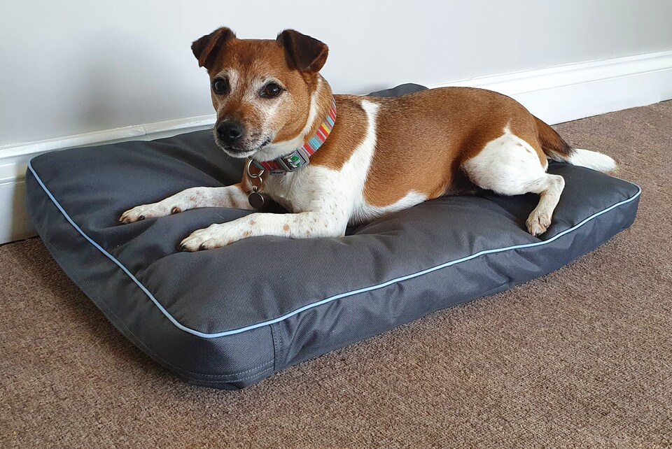 image 1 of Henry Wag Brecon Adventure Bed, Waterproof Pillow Bed, Size X-Large | Grey | Grey | XL | 1