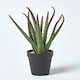 image 7 of Homescapes Aloe Vera Artificial Succulent in Black Pot, 30 cm Tall
