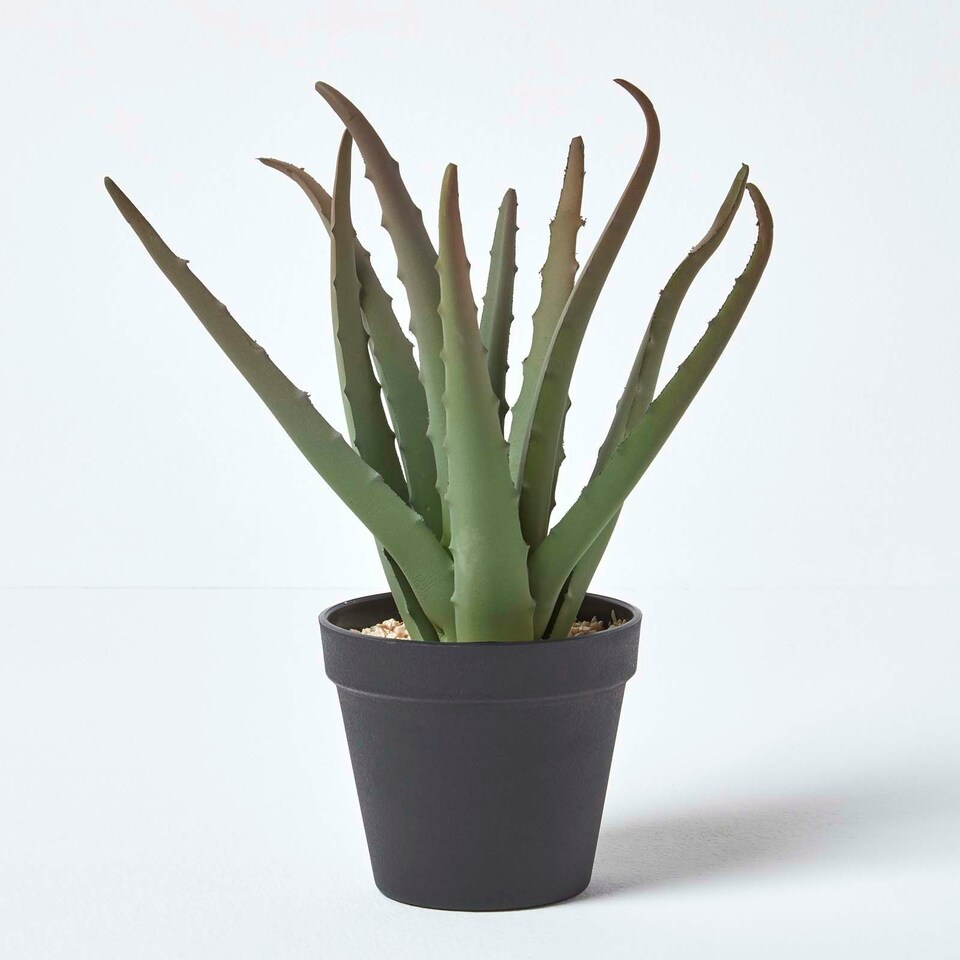image 1 of Homescapes Aloe Vera Artificial Succulent in Black Pot, 30 cm Tall