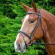 image 2 of Aviemore Comfort Fit Leather Horse Bridle - Black - Cob