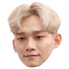 Exo Chen Kim Jong-dae Cardboard Face Mask