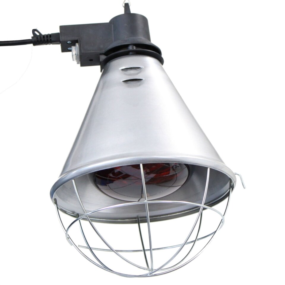 image 1 of Poultry Heat Incubator Lamp 175W with Red Bulb For Chicks Puppies