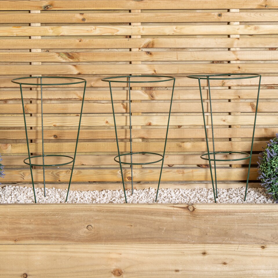 image 1 of Pack of 3 Tom Chambers Urban Green Conical Garden Plant Support Ring 30cm -  Medium