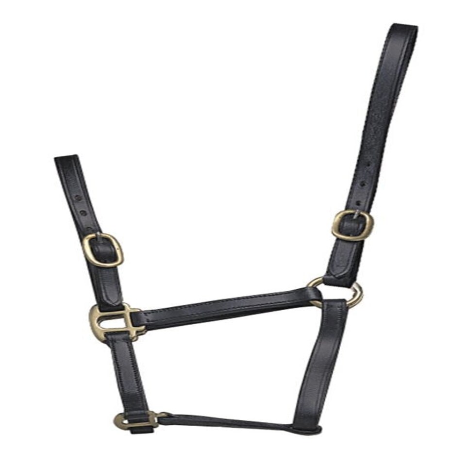 image 1 of Shires Blenheim Adjustable Leather Headcollar Brown | Size: Baby 0
Colour: H.Brown