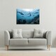 image 2 of Schooling grey reef sharks, Ningaloo reef, Western Australia (Canvas Print) 31 x 41 x 4cm