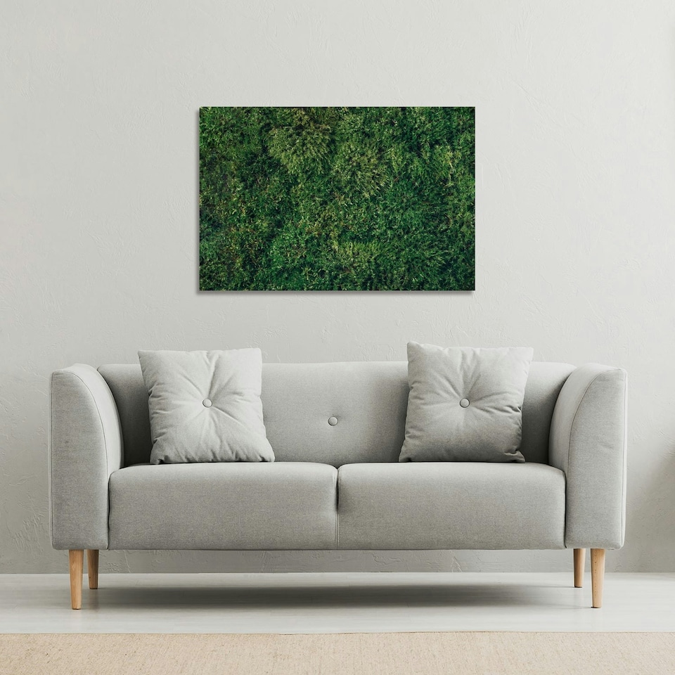 image 1 of Natural green moss (Canvas Print) 46 x 31 x 4cm