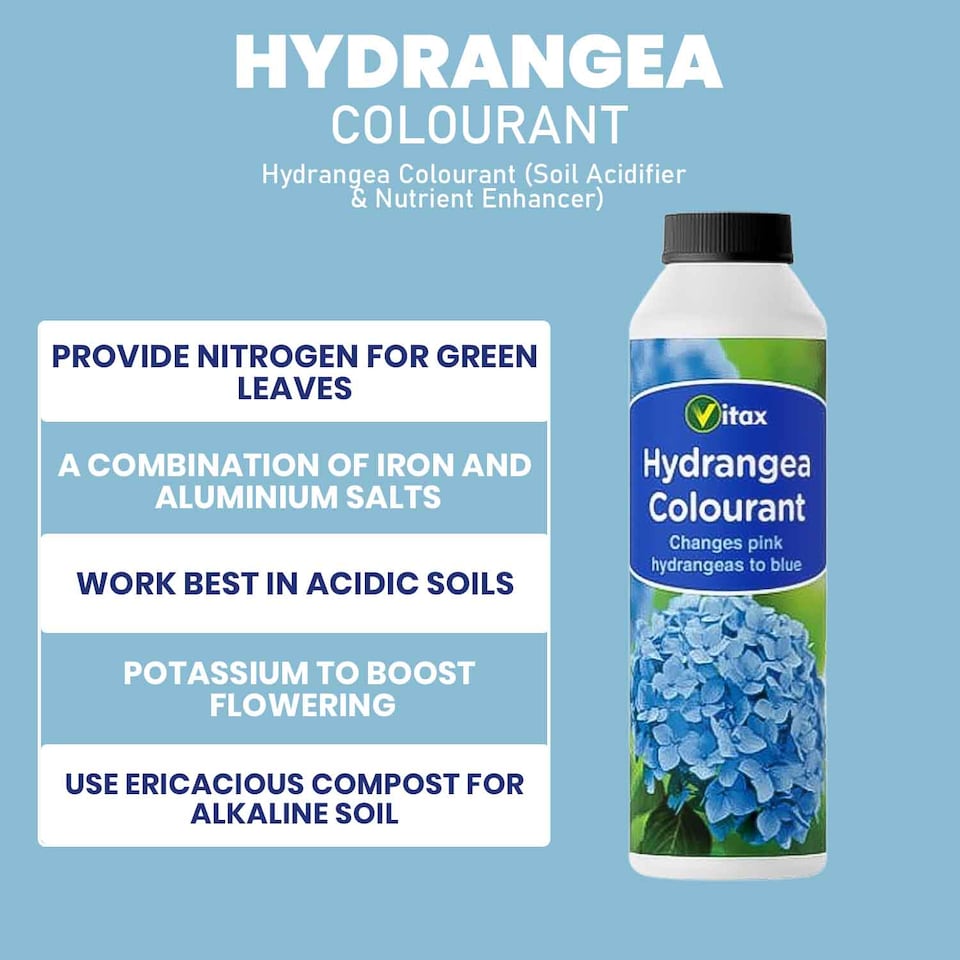 image 1 of Vitax Hydrangea Colourant 250g Turns Pink Flowers Blue & Mauve Enhances Blooms and Plant Health