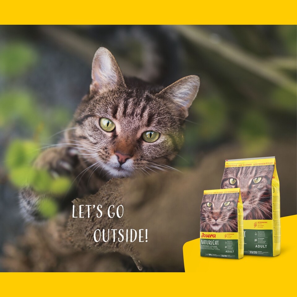 image 1 of Josera NatureCat complete food | For adult cats & older kittens | Grain-free | Chicken & Salmon | Anti-Hairball | Herbs & Fruits | Urinary pH | 10kg