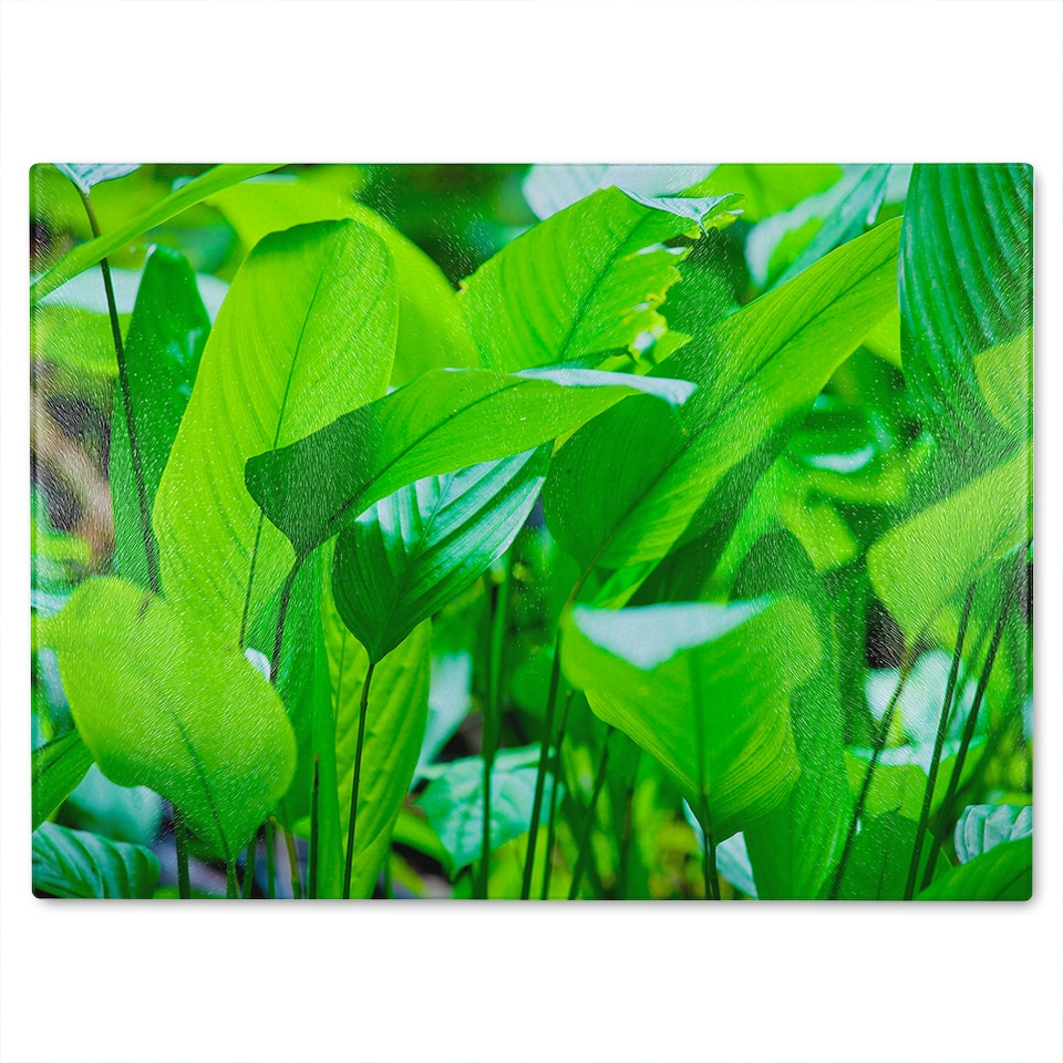 image 1 of Green leaf background abstract of nature Designer Glass Chopping Board | Multi
