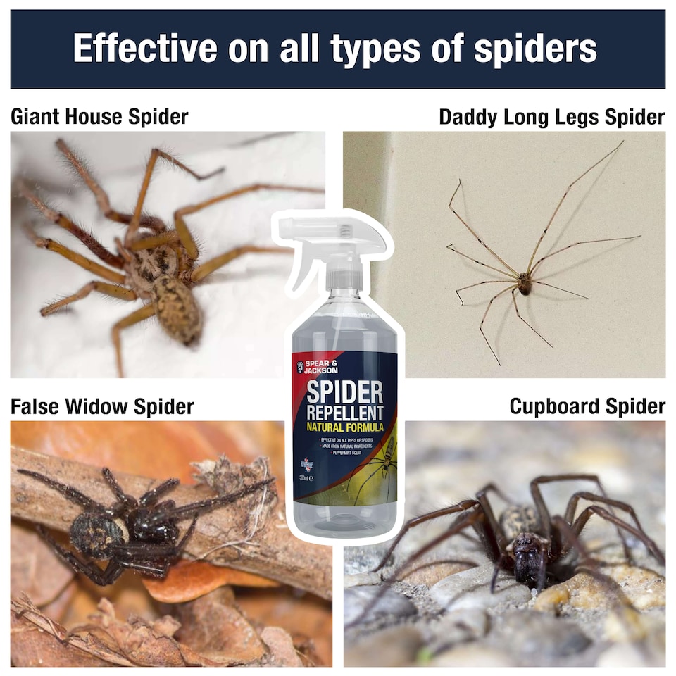 image 1 of Spear & Jackson Spider Repellent - Peppermint Scent 500ml