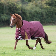 Highlander Plus 100 Turnout Rug Red | Colour: Maroon
Size: 5ft 6