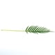 image 4 of Artificial Real Touch Fern Palm Leaf 66cm