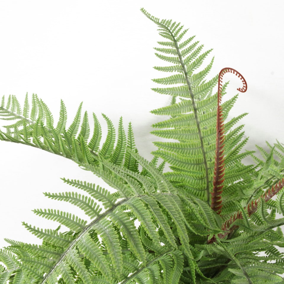 image 1 of Fern Plant Artificial 60cm Artificial Bushy Dixie Wood