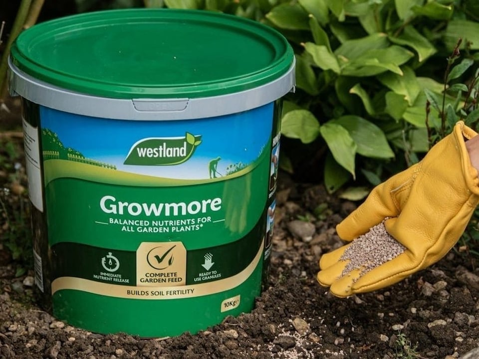 image 1 of Westland Growmore Fertiliser