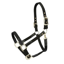 ARMA Porto Headcollar Black | Colour: Black Cherry
Size: Pony