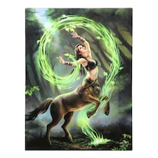 Anne Stokes Earth Elemental Sorceress Canvas Plaque - Green/Black/Brown - 25cm x 19cm