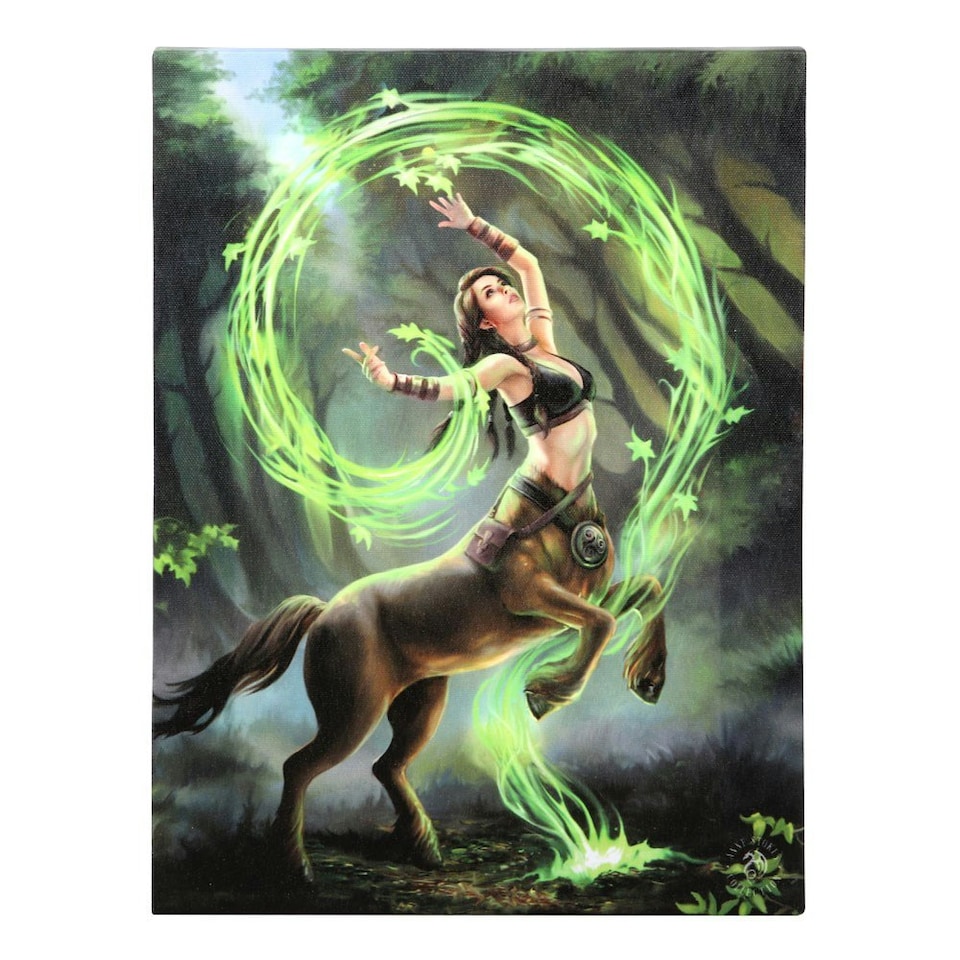 image 1 of Anne Stokes Earth Elemental Sorceress Canvas Plaque - Green/Black/Brown - 25cm x 19cm