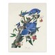 image 1 of Blue Jay and Trumpet Flowers Audubon Nature Wall Art Poster Print 12X16"