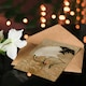 image 4 of G A Audsley Art Card Sarus Crane Foraging in Rice Field