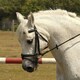image 3 of Rhinegold Bridle Black | Size: Cob
Colour: Black
