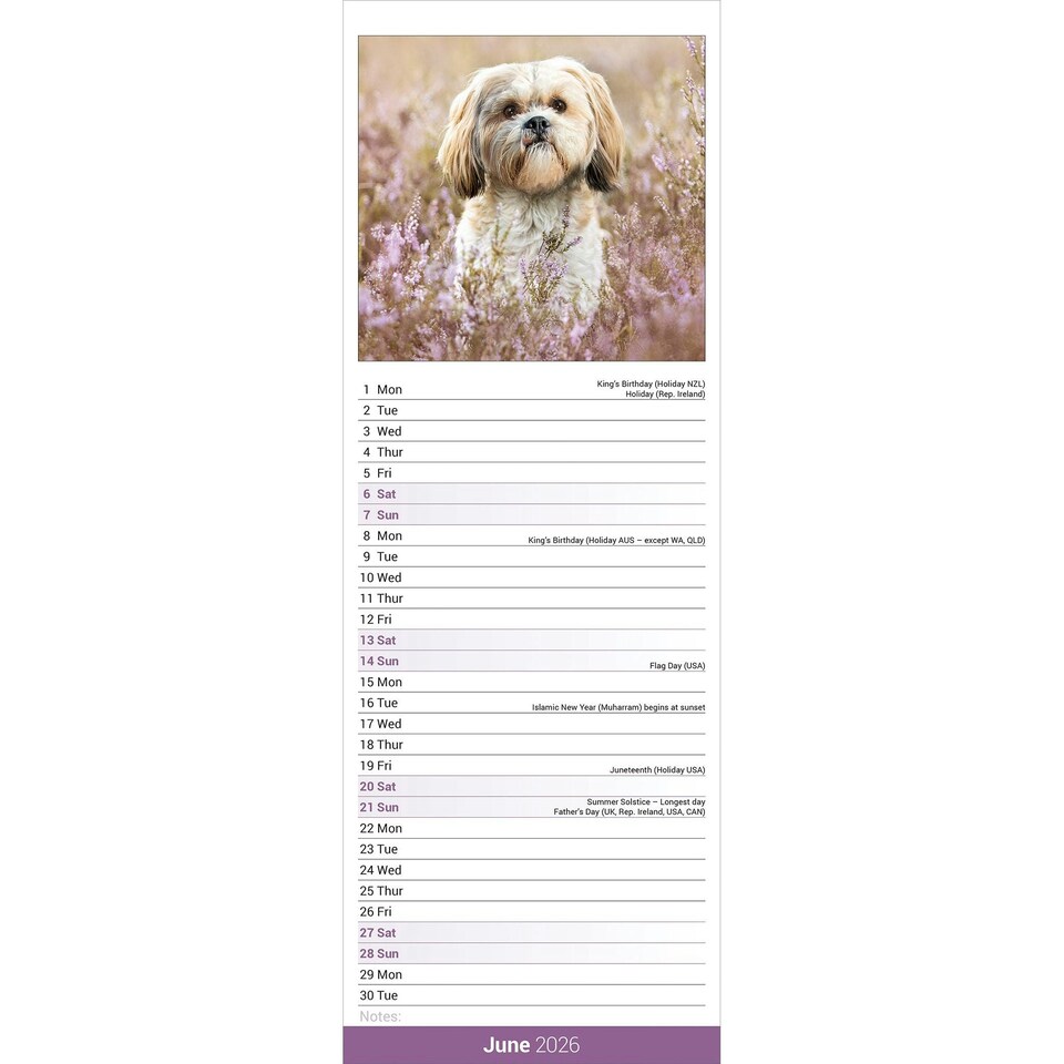 image 1 of Shih Tzu Slim 2026 Calendar | Slimline Wall Calendar | Dog Breed Gift | Plastic Free Packaging | by Avonside Publishing [Calendar] Avonside Publishing Ltd