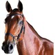 image 1 of Collegiate Comfitec Leather Training Bridle - Black - Warmblood