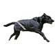image 1 of Firefoot 2 in 1 Waterproof Reflective Dog Coat - Black - 41cm