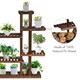 image 9 of COSTWAY 9 Tier Wood Plant Stand Display Rack Flower Shelf Brown
