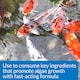 image 3 of 237ml API Pond Algae Cure Rapidly Clears Green Water & Prevents Algae Growth Pond Water Treatment & Fish Care