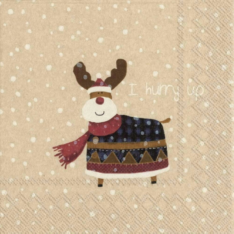 IHR Lunch Napkins Rudolph Red 33cm 3ply 20 Pack