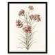 image 1 of Six Carnations Vintage Illustration Teyler Framed Wall Art Print 12X16"
