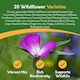 image 4 of Pronto Seed Pure Wildflower Seed Mix 100g, Covers 100m2