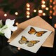 image 4 of Sherman Denton Art Card Monarch Butterfly Vintage Illustration