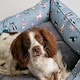 image 5 of Joules Rainbow Dog Box Bed | Grey | L | 1
