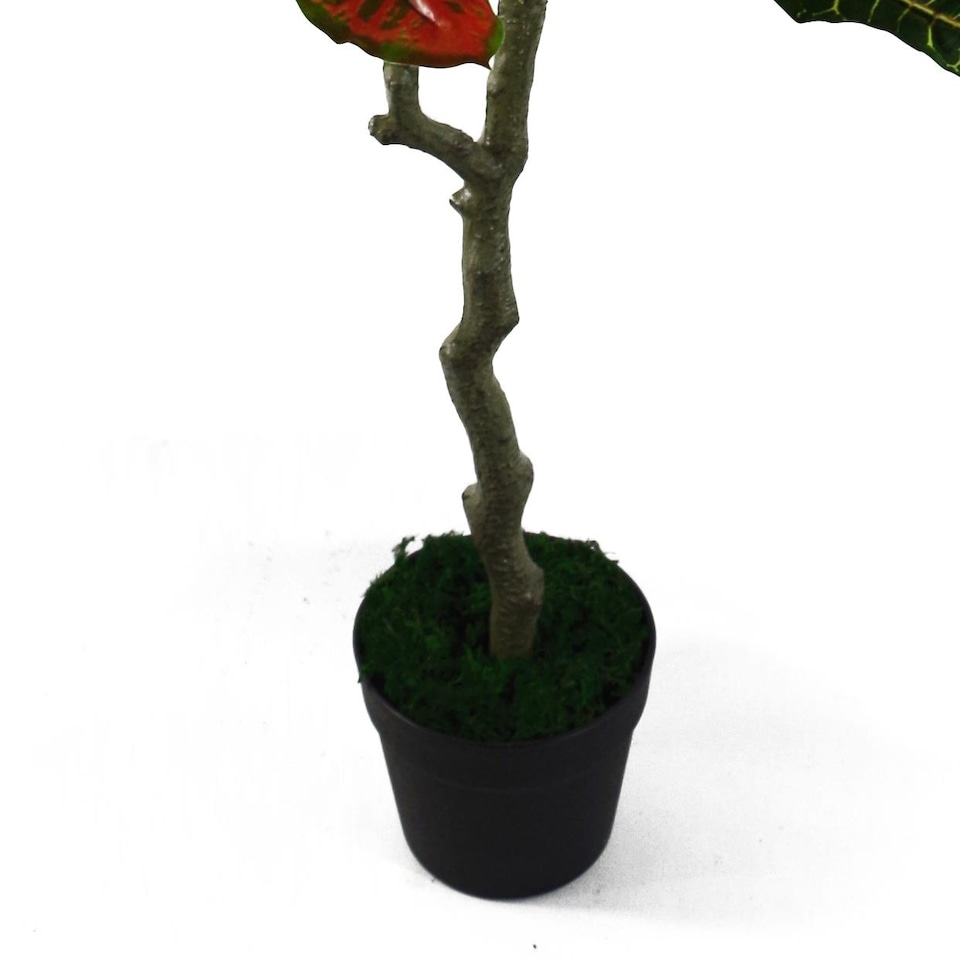 image 1 of Artificial Olive Tree Bush UK Artificial Olive Tree | Green | 4ft