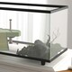 image 9 of PawHut Turtle Tank 50L Glass Turtle Aquarium w/ Easy Drainage, 60 x 30 x 32cm
