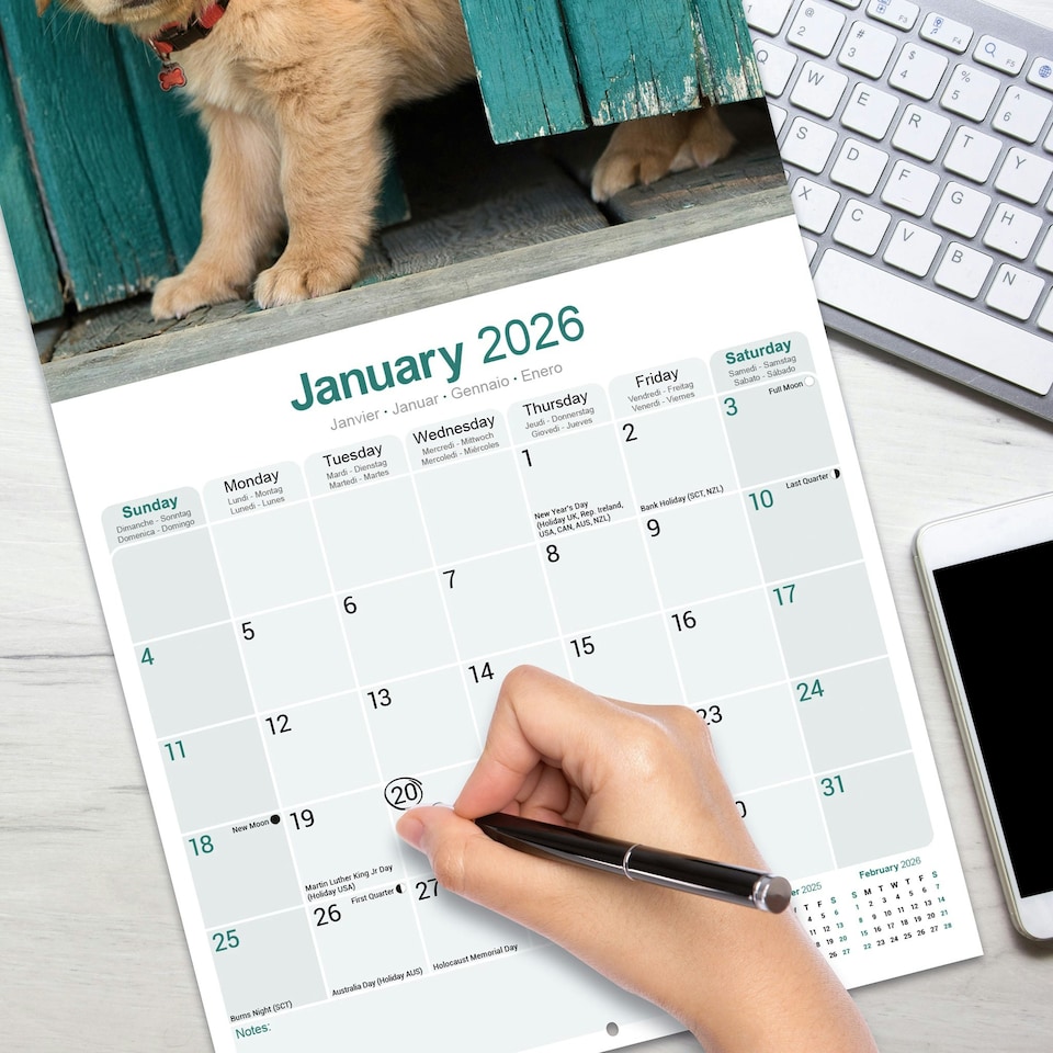 image 1 of Golden Retriever 2026 Calendar | Square Wall Calendar | Dog Breed Gift | Plastic Free Packaging | by Avonside Publishing