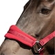 image 2 of Hy ProReaction Horse Headcollar | Red | Burgundy | One Size | 1