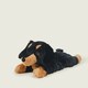 image 3 of Warmies Plush Dachshund  LARGE