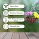 image 7 of Marco Paul Black Metal Hanging Basket 16" Black