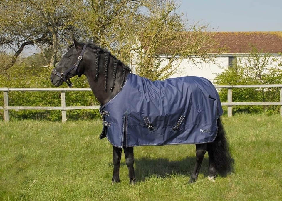 image 1 of Rhinegold Torrent Outdoor Rug | Blue | Size: 4ft 6
Colour: Navy Blue
