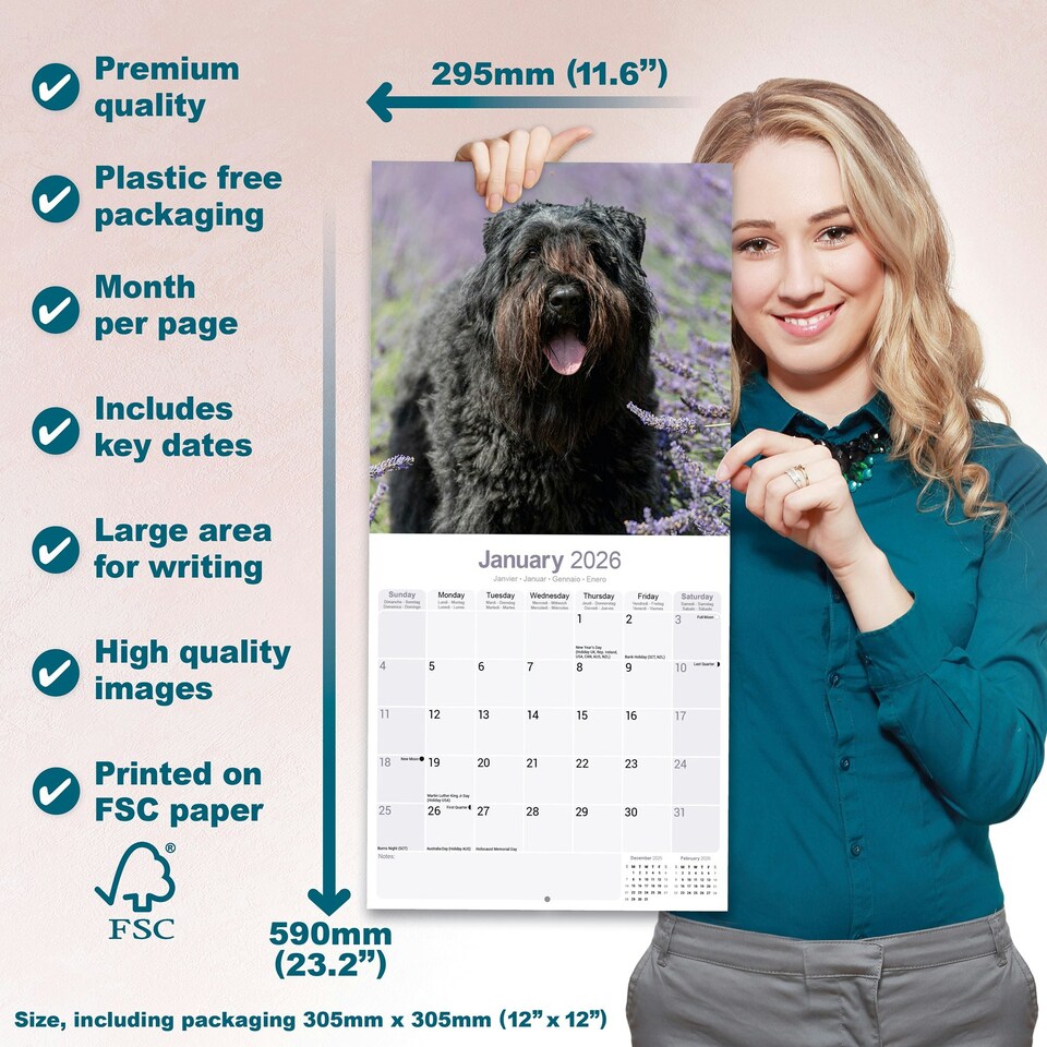 image 1 of Bouvier des Flandres 2026 Calendar | Square Wall Calendar | Dog Breed Gift | Plastic Free Packaging | by Avonside Publishing