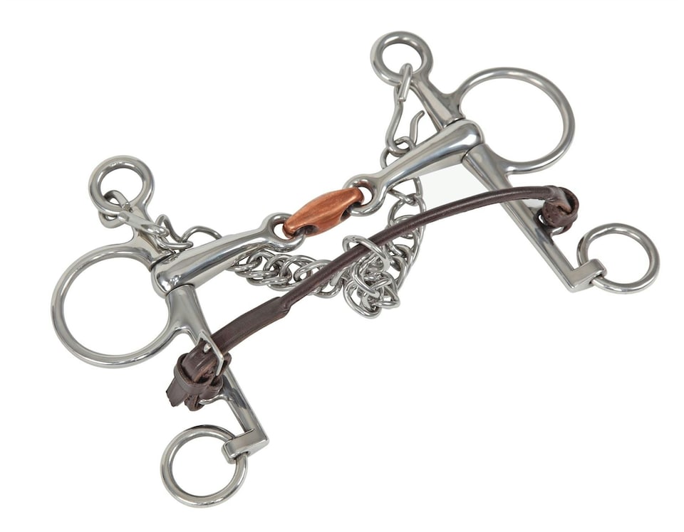 image 1 of Shires Blenheim Rolled Leather Lip Strap | Black | Size: One Size
Colour: Black