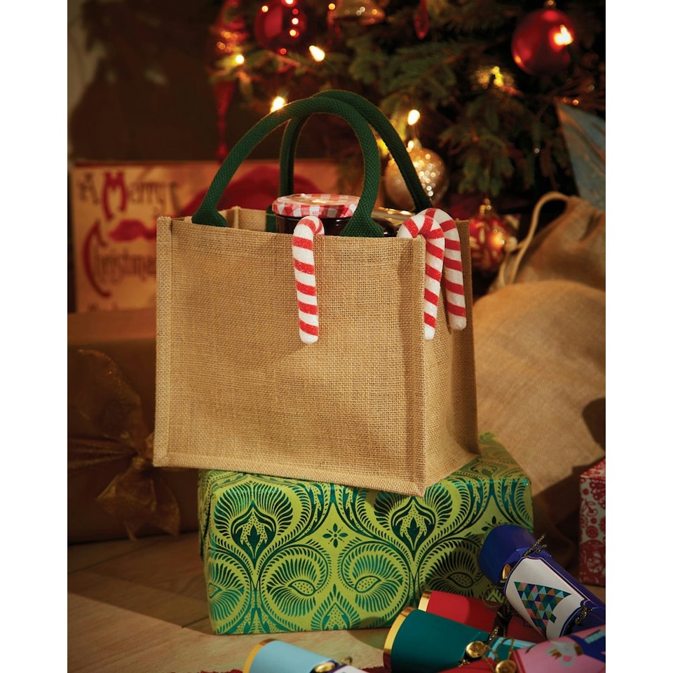 image 1 of Westford Mill Jute Mini Gift Bag (6 Litres) - Natural/Forest Green - One Size