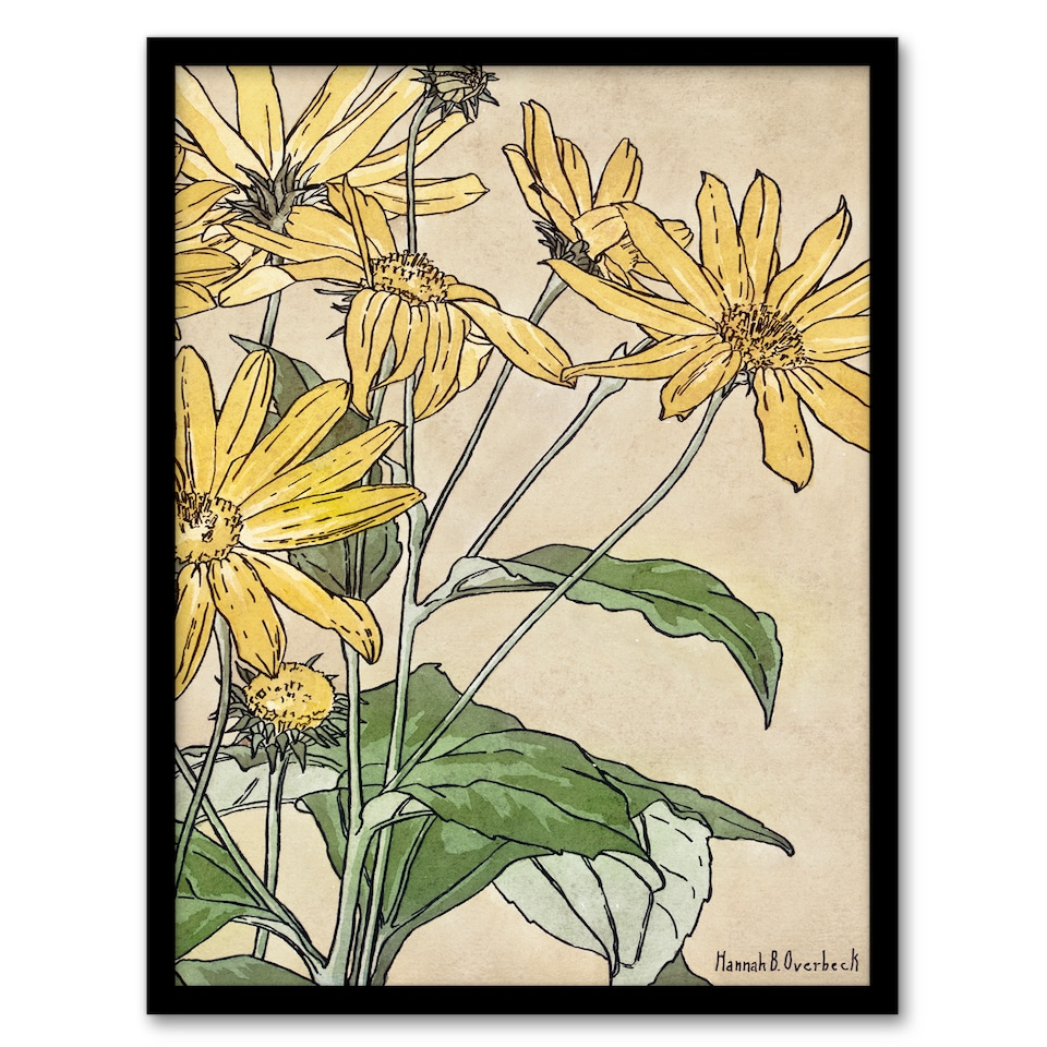 image 1 of Hannah Borger Overbeck Framed Wall Art Print Sunflowers Watercolour Home Décor
