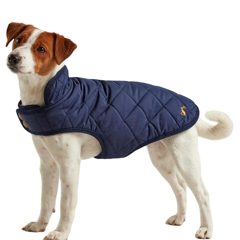 image 1 of Joules Quilted Dog Coat - Navy - M