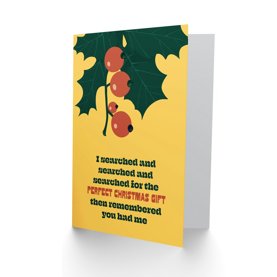 image 1 of I Searched For The Perfect Gift Funny Cheeky Blank For Him Or Her Art Christmas Card