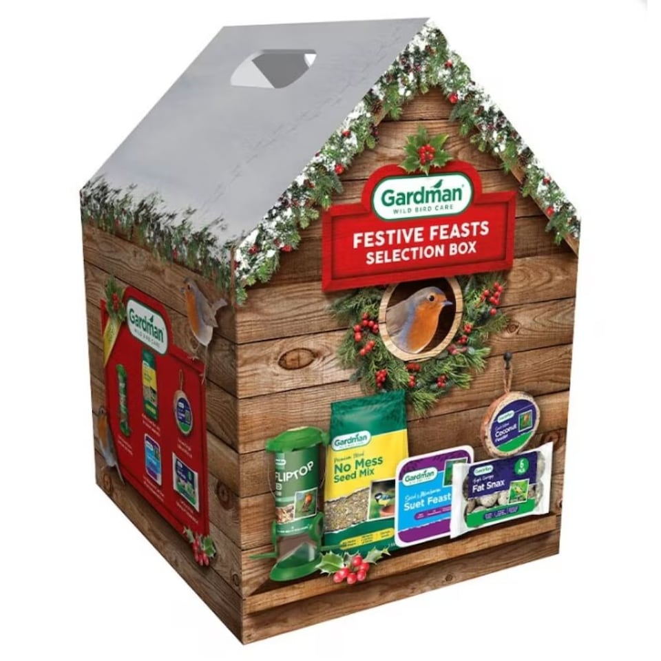 image 1 of Gardman Wild Bird Festive Feasts Selection Box Christmas Gift
